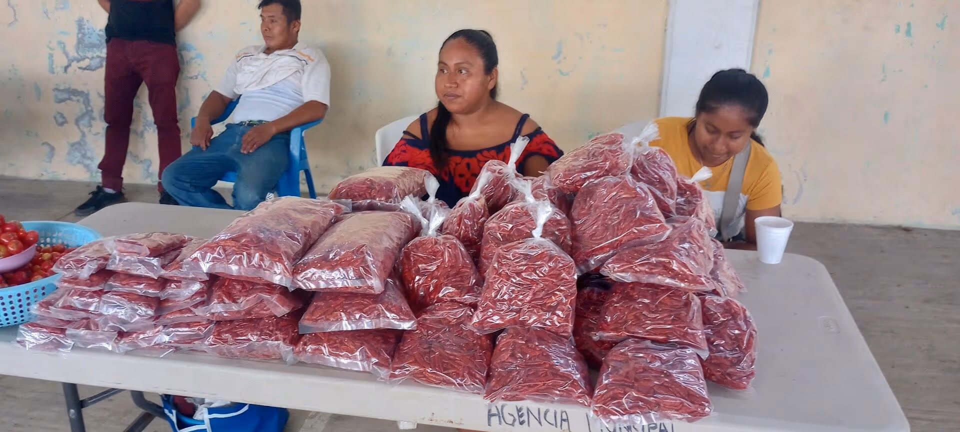A Mazatec woman sells her air dried chilis at the weekly farmers’ market in Cerro Quemado, Oaxaca, Mexico. Credit: Justin Cantafio
