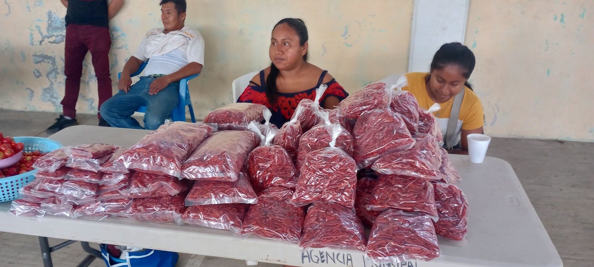 A Mazatec woman sells her air dried chilis at the weekly farmers’ market in Cerro Quemado, Oaxaca, Mexico. Credit: Justin Cantafio
