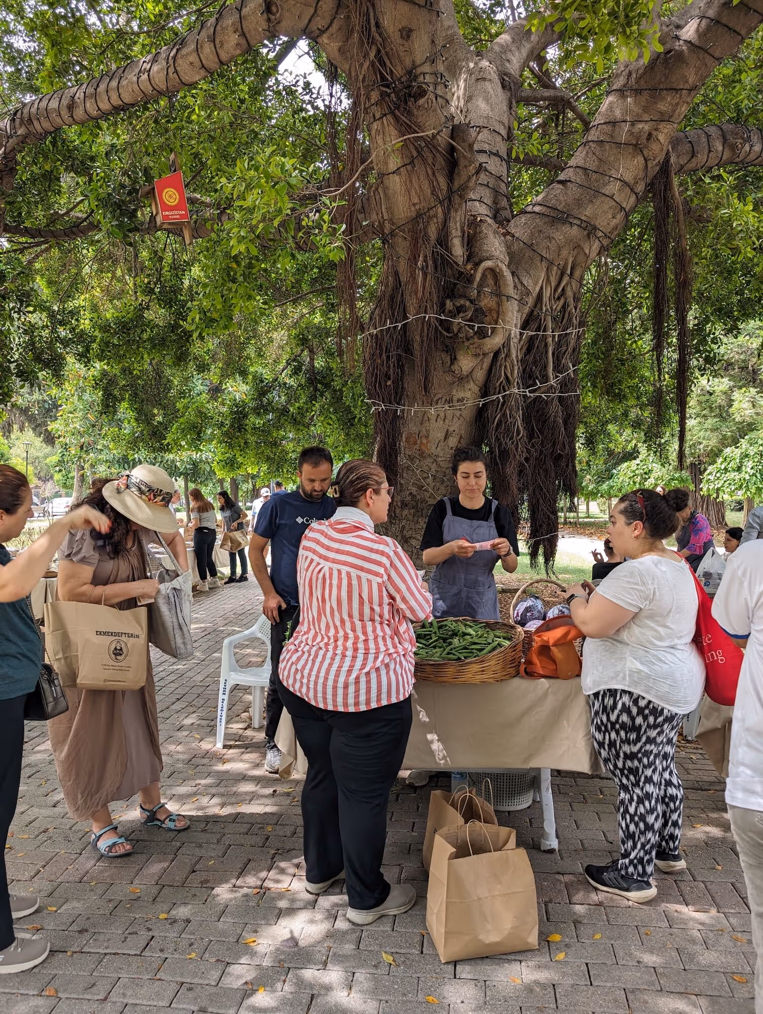 Vendors operate under shade trees in Adana, southeast Turkey. Credit: Justin Cantafio