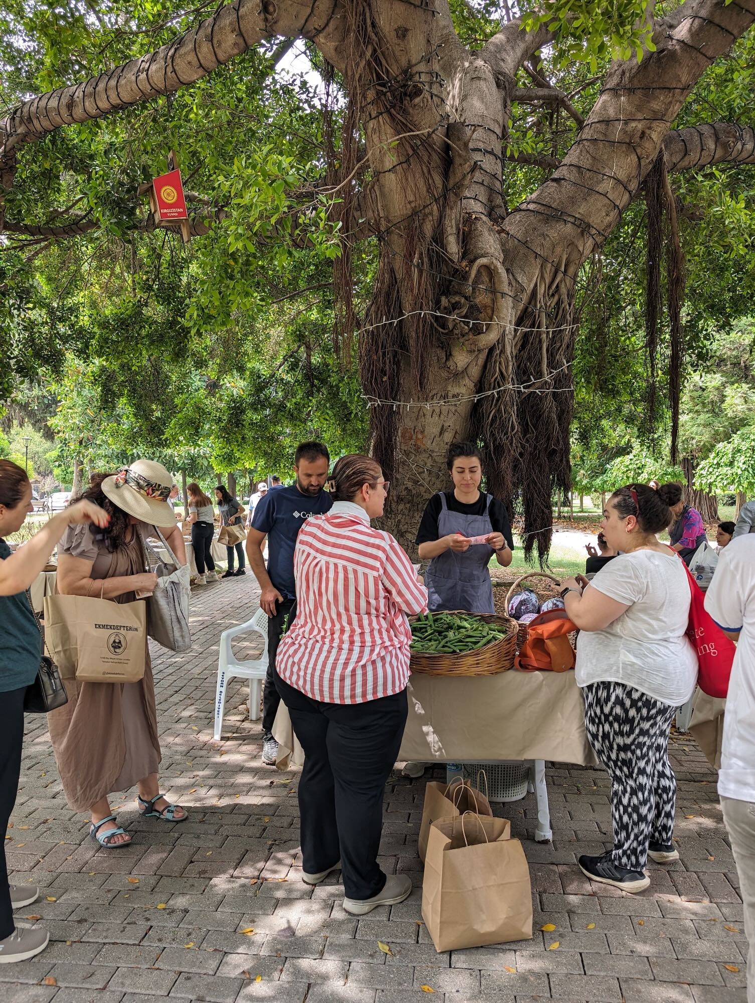Vendors operate under shade trees in Adana, southeast Turkey. Credit: Justin Cantafio