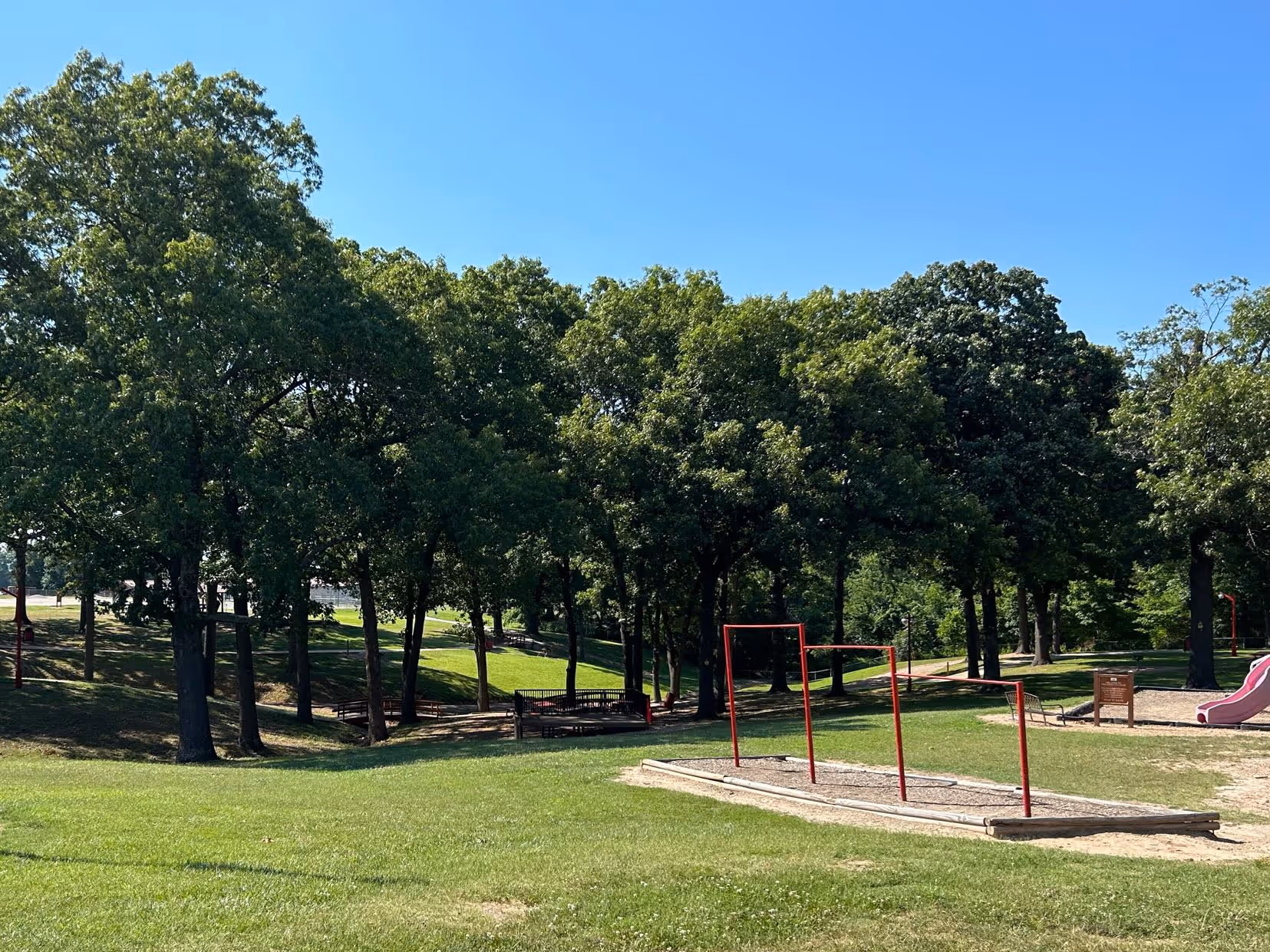 A park features a grassy field, where there is a playground in the forefront and a row of tall trees in the background.