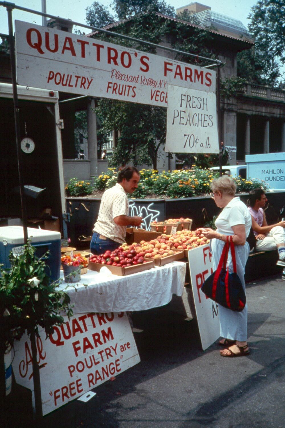 A vendor sells fruit to a customer under a sign that reads, "Quattro's Farms, Pleasant Valley, NY."
