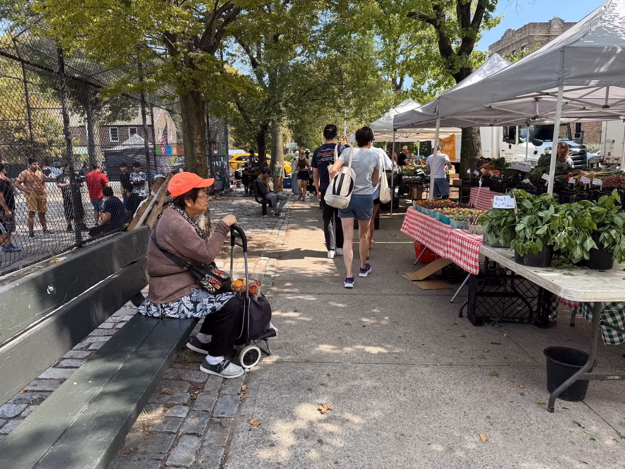 An outdoor farmers market is set up on a sidewalk next to a park and public benches and under shade provided by nearby trees