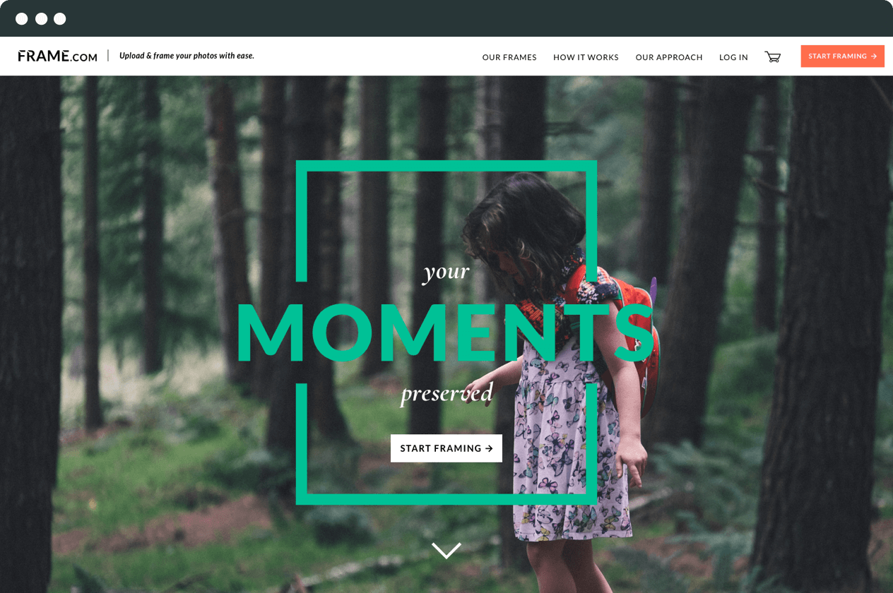 Web Design DevBootcamp