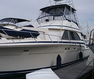 Photo of sea craft with pressure sensitive window tint applied.