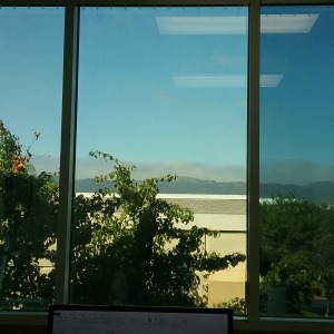 Image looking out of a commercial window tinted in Temecula, CA.