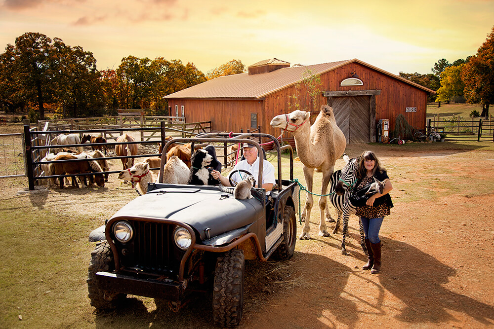 Linda and Bill Goldner, owners of Oasis Animals, have always had a love for animals and have incorporated creatures such as camels and horses into their biblical productions throughout the years.