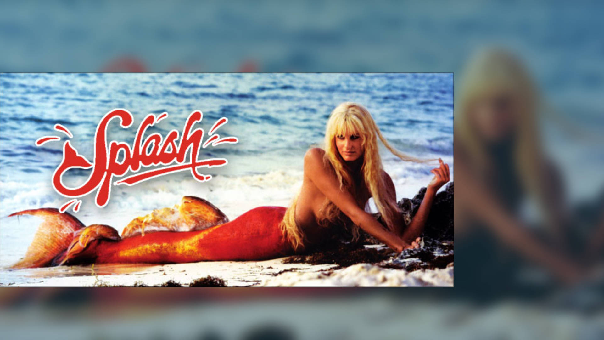Splash