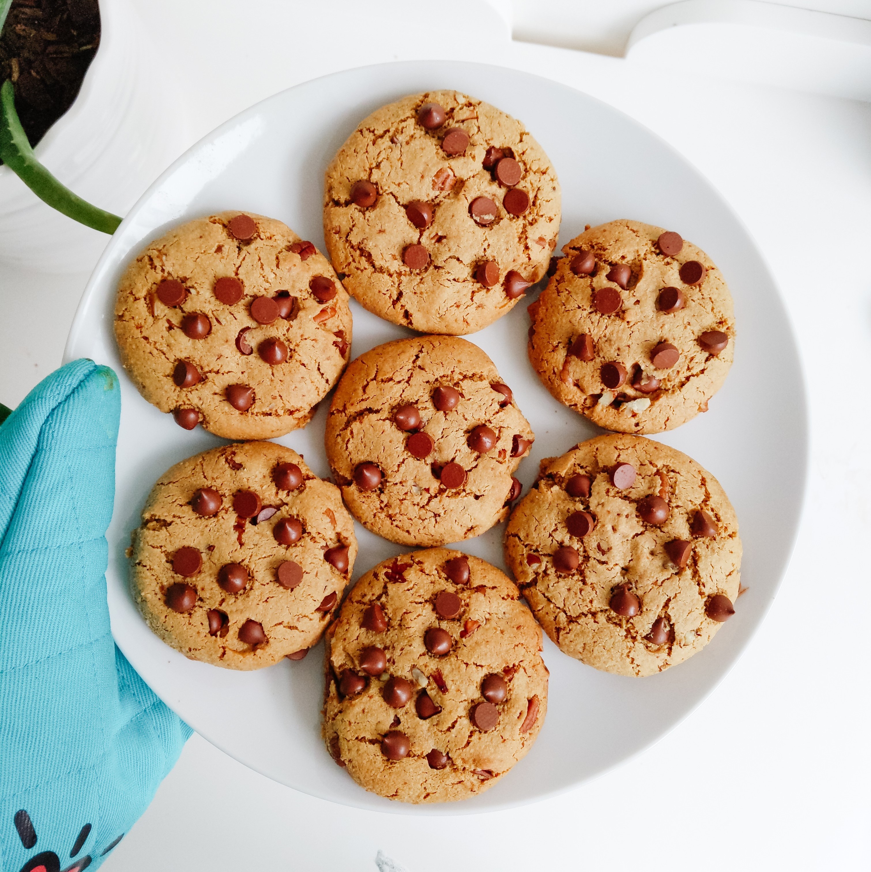 Chewy Chocolate Chip Cookies (Vegan & Paleo) | Healthy Eating And Living