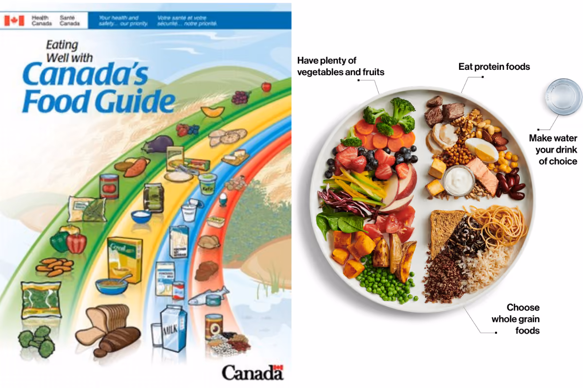 2007 Food Guide vs. 2019 Food Guide