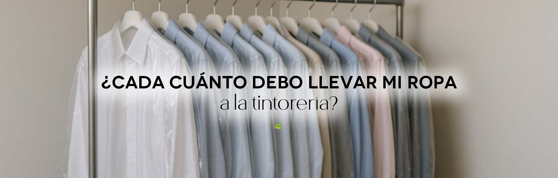 ¿Cada cuánto debo llevar mi ropa a la tintorería?