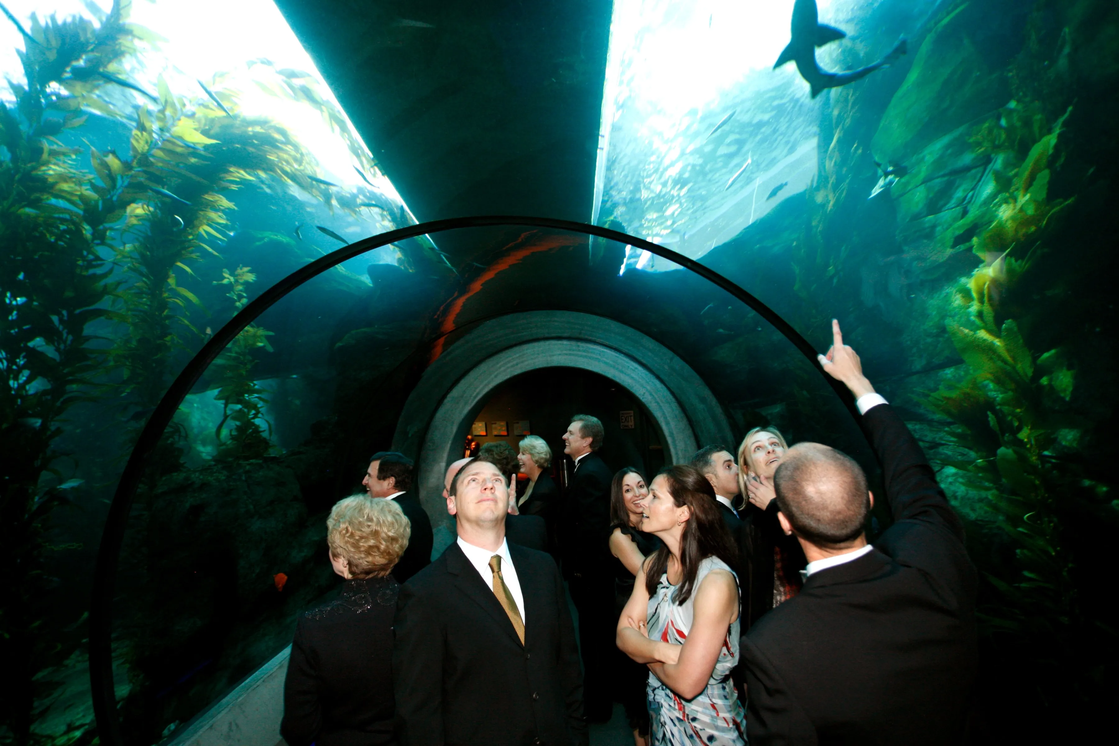 people inside ocean park