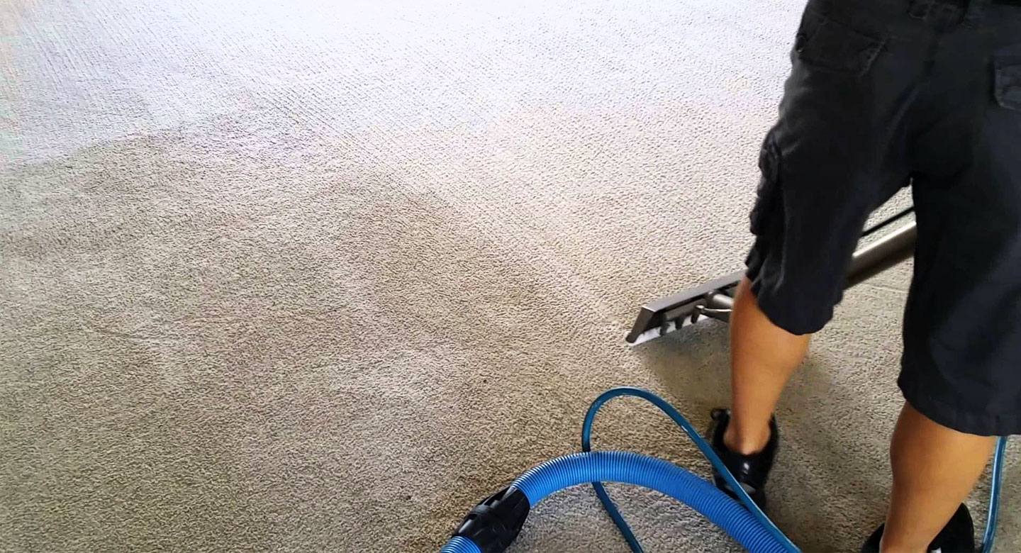 limpieza de alfombras