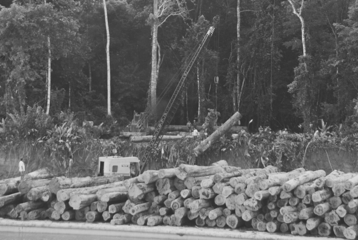 Nando Azevedo Photography-0325