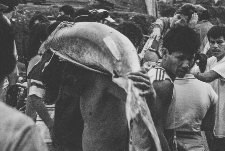 Nando Azevedo Photography-0371