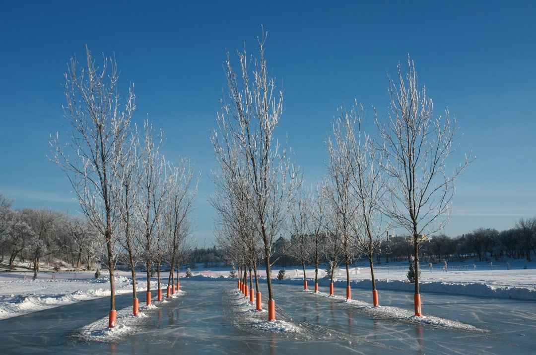 WINTER GARDEN