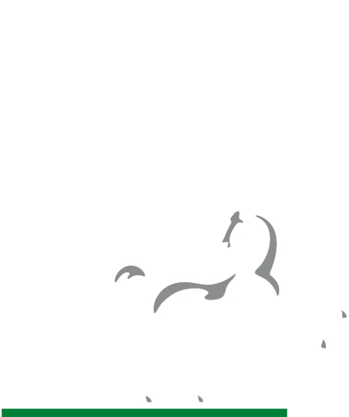 Lloyds Bank Logo