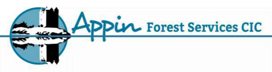 RECRUITING - PROJECT MANAGER
