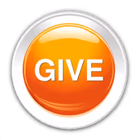 Give icon with link to donate to Voices for Children on paypal