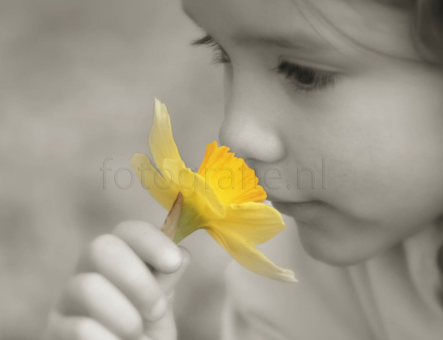 zwartwit foto meisje close up met gele bloemen watermerk eroverheen