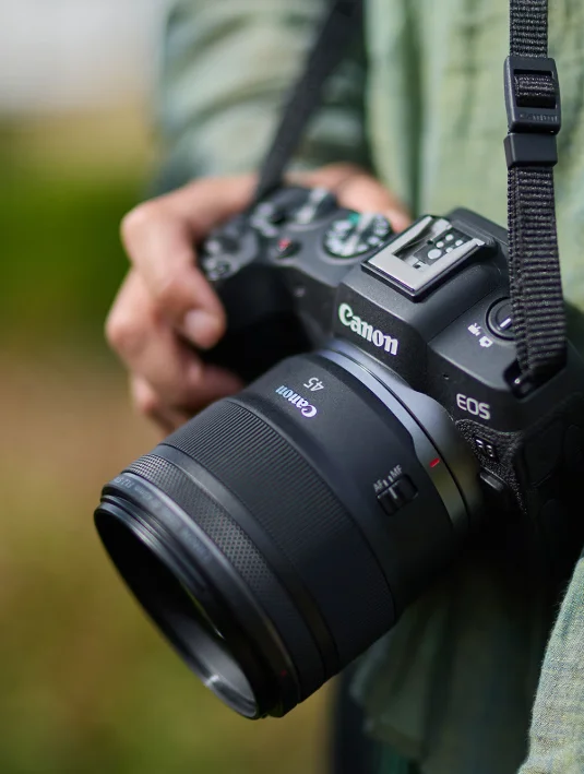 thumbnail image article