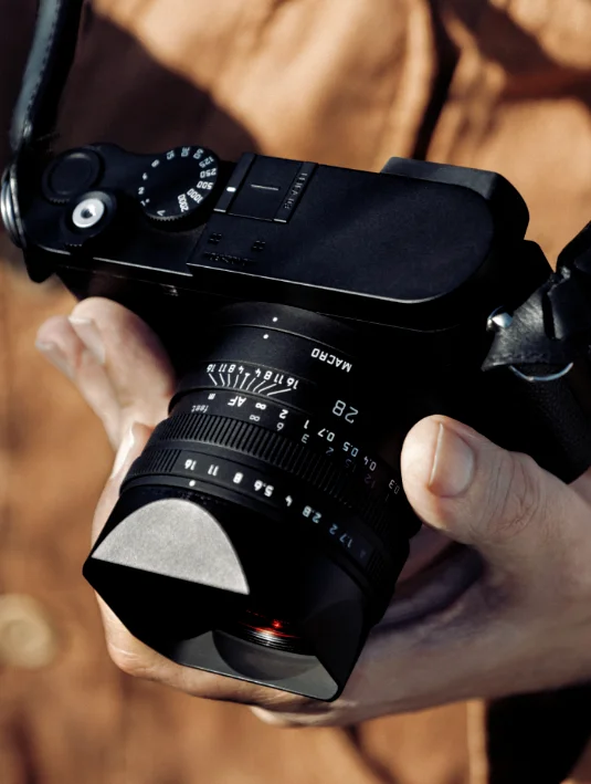 thumbnail image article