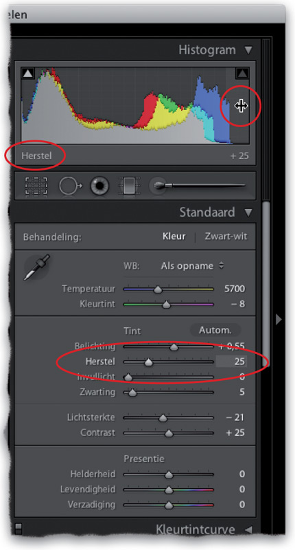 voorbeeldfoto in Adobe Photoshop van boek Scott Kelby
