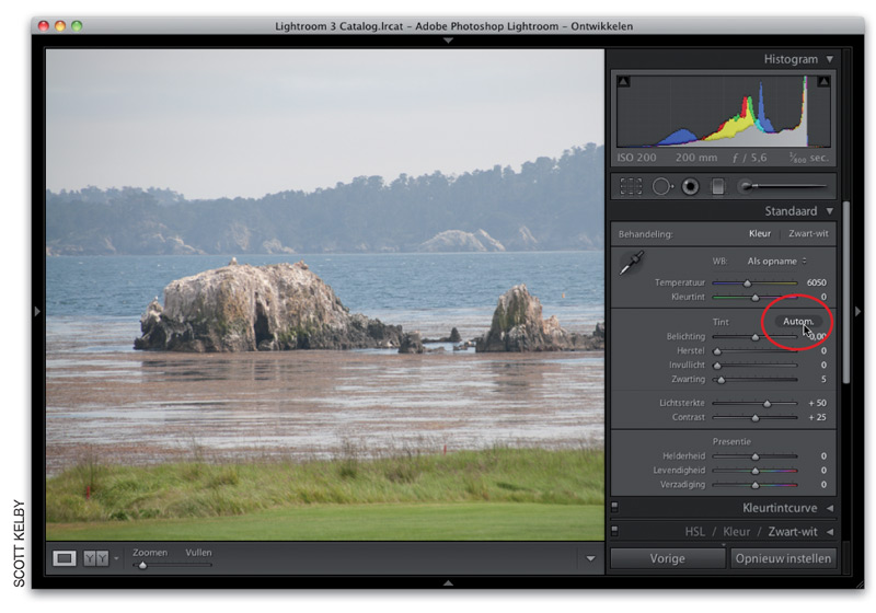 voorbeeldfoto in Adobe Photoshop van boek Scott Kelby