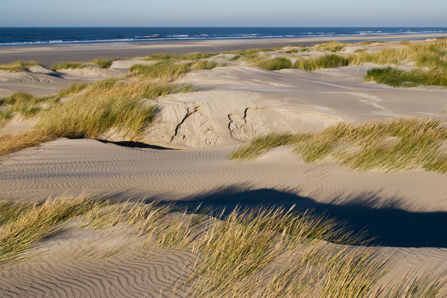 foto van een duinvlakte bij de zee