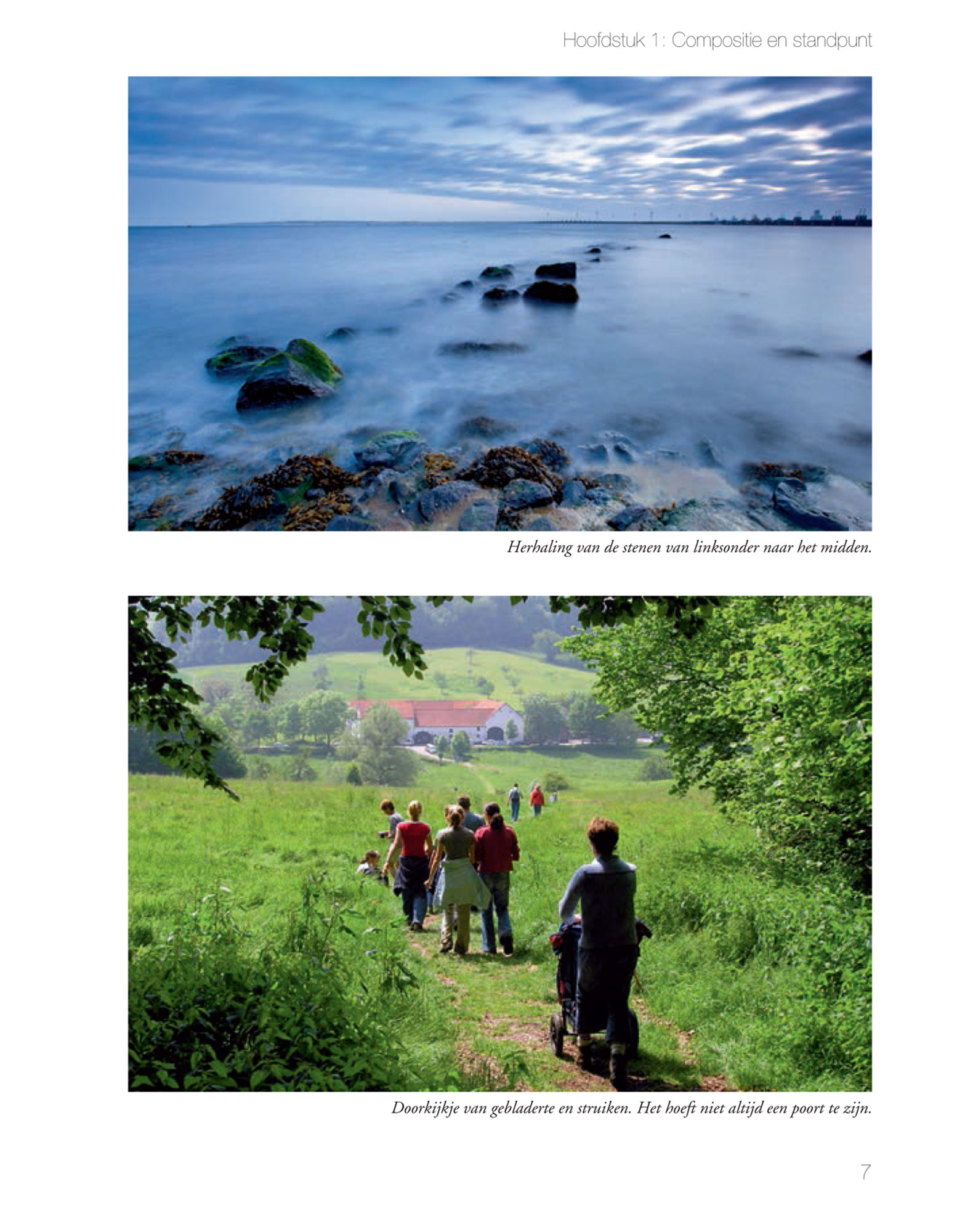 Focus op fotografie: Compositie & licht - Pieter Dhaeze, isbn 9789059409491