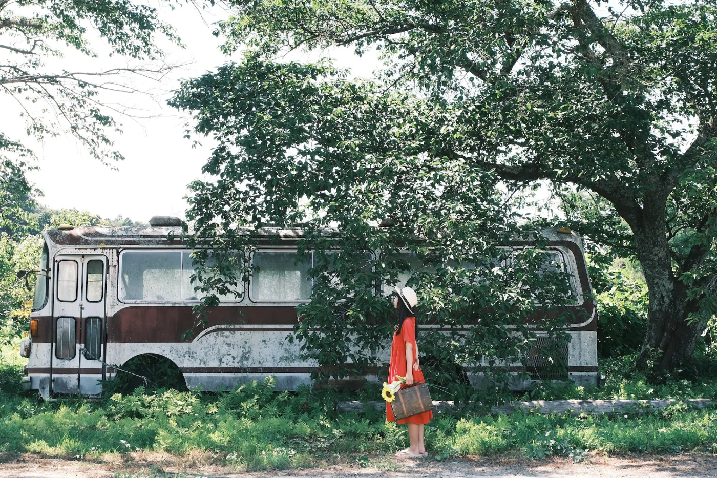 Vrouw in rode jurk met koffer en zonnebloem voor een verweerde bus onder een grote boom, gefotografeerd in zacht natuurlijk tegenlicht.