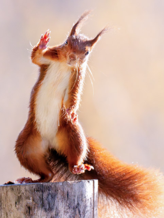 thumbnail image article