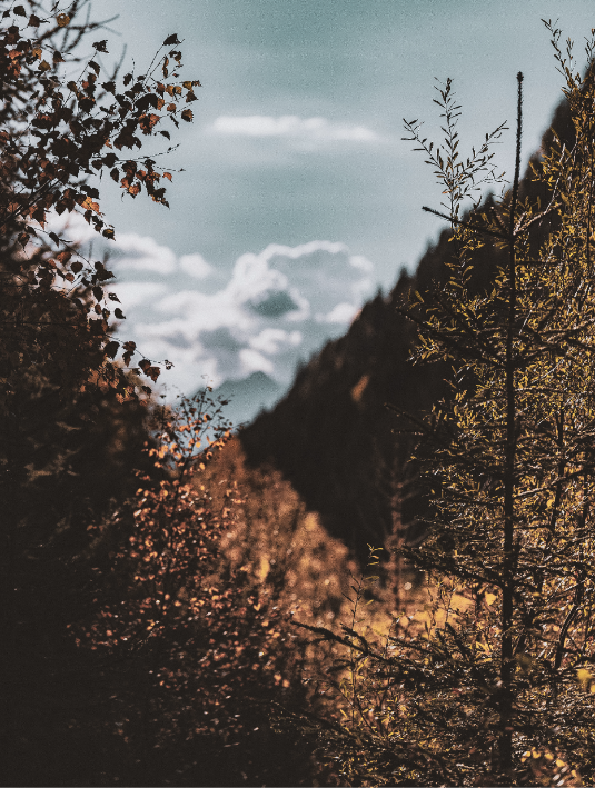 thumbnail image article