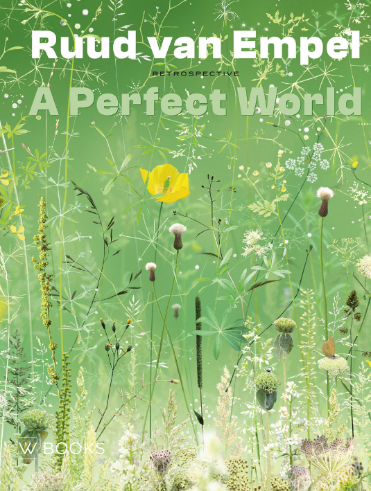 thumbnail image article