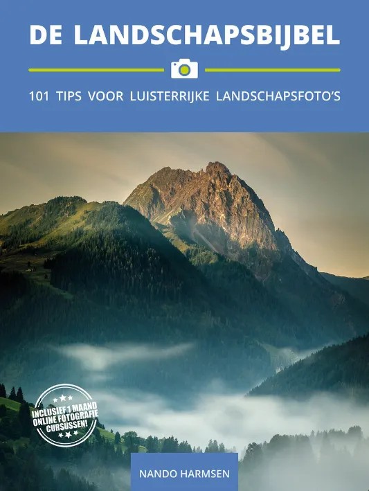 thumbnail image article