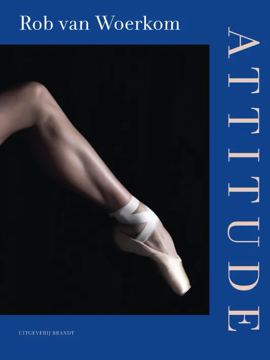 thumbnail image article