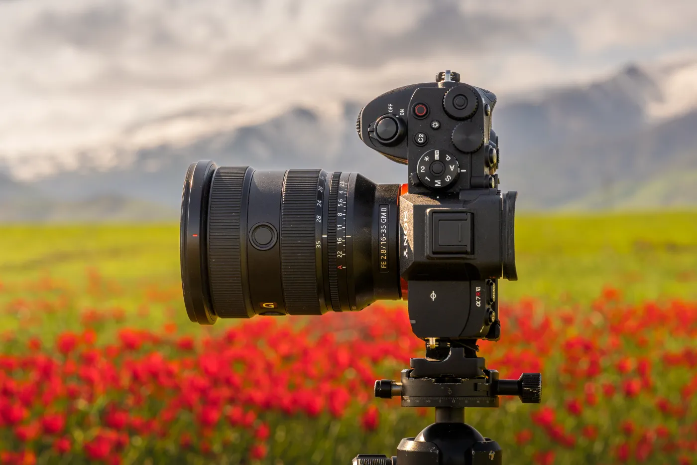 Sony A7R VI met FE 28-35mm F2 GM II op statief in bloemrijk landschap, foto door Albert Dros