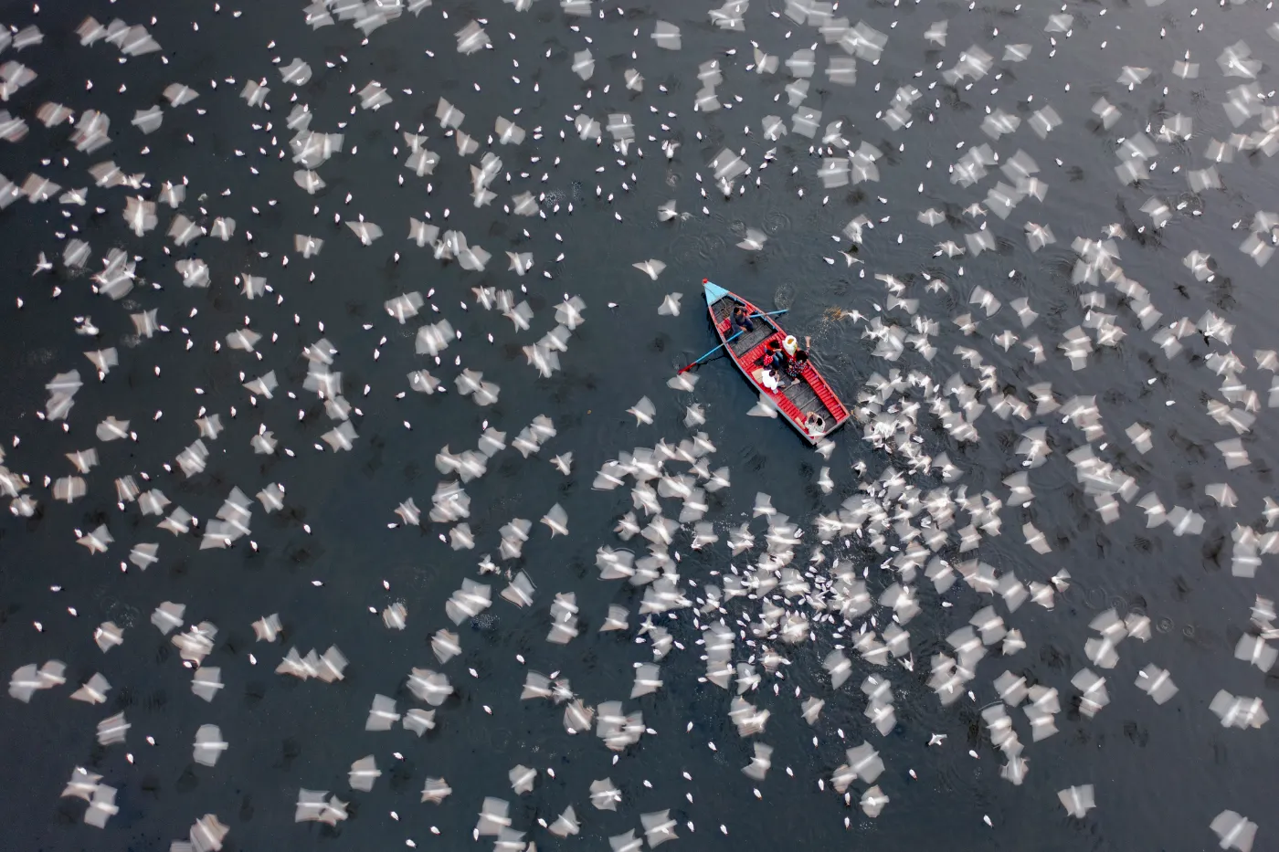 Luchtfoto uit het winnende portfolio van Azim Khan Ronnie bij International Aerial Photographer of the Year 2026.