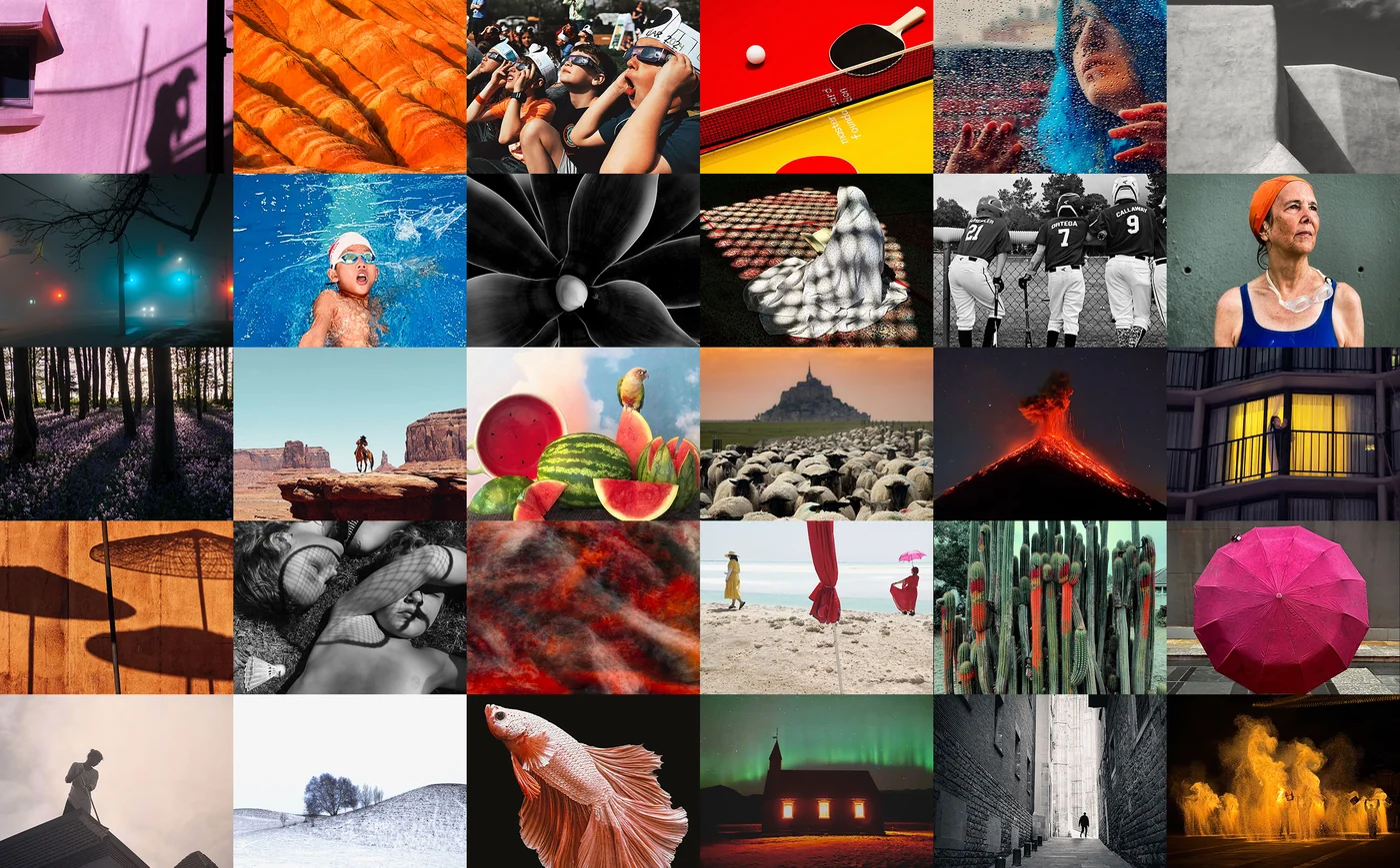 Collage van kleurrijke en zwart-witfoto’s met landschappen, sporters, portretten, dieren en stedelijke scènes.