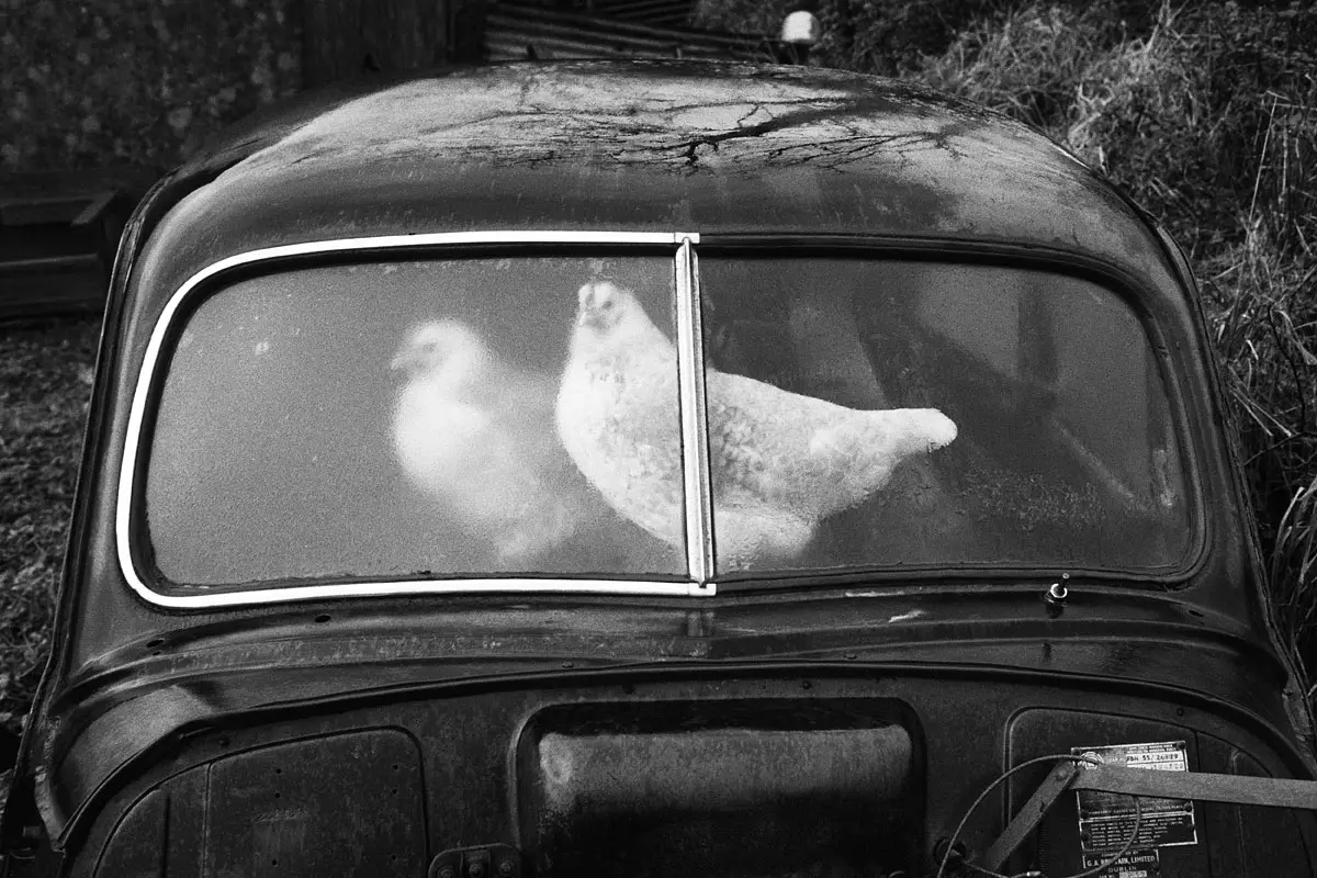 Martin Parr wint Outstanding Contribution Award 2017