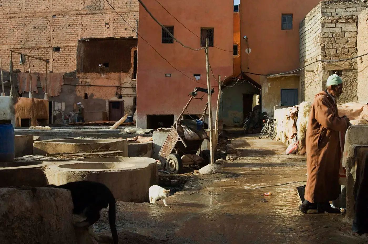 Steeg langs betonnen bassins met twee katten en een man in een bruine djellaba