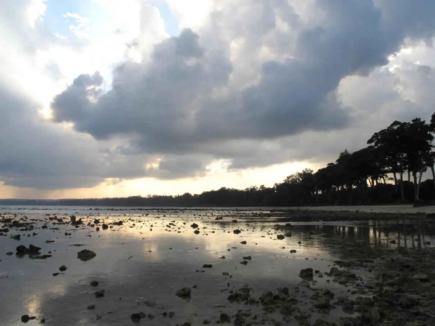 Rotsige kustlijn bij laag water onder donkere wolken