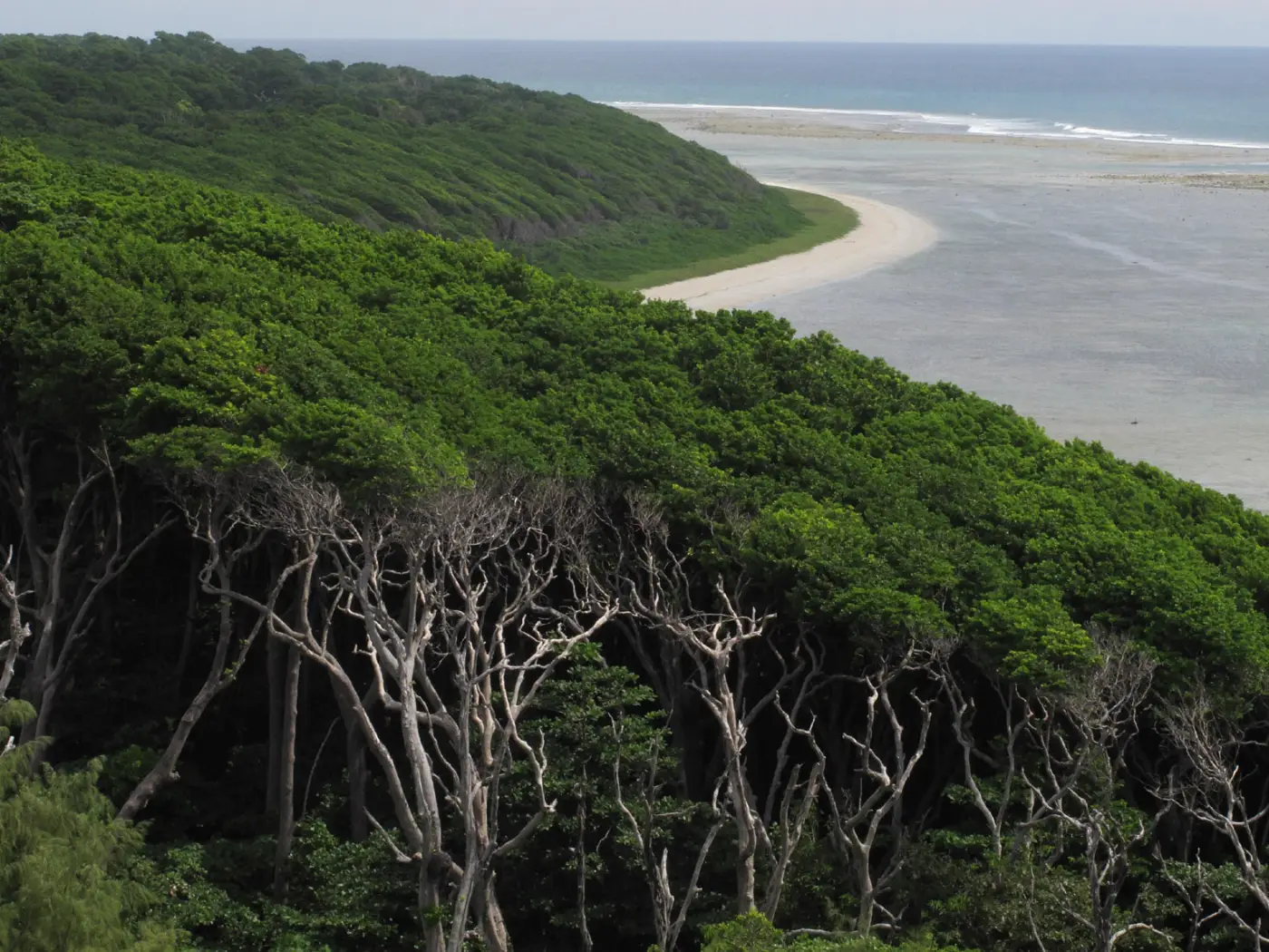 Fotograferen in Andaman, India | Fotografie.nl