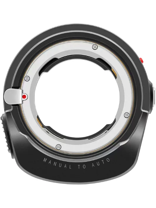 thumbnail image article