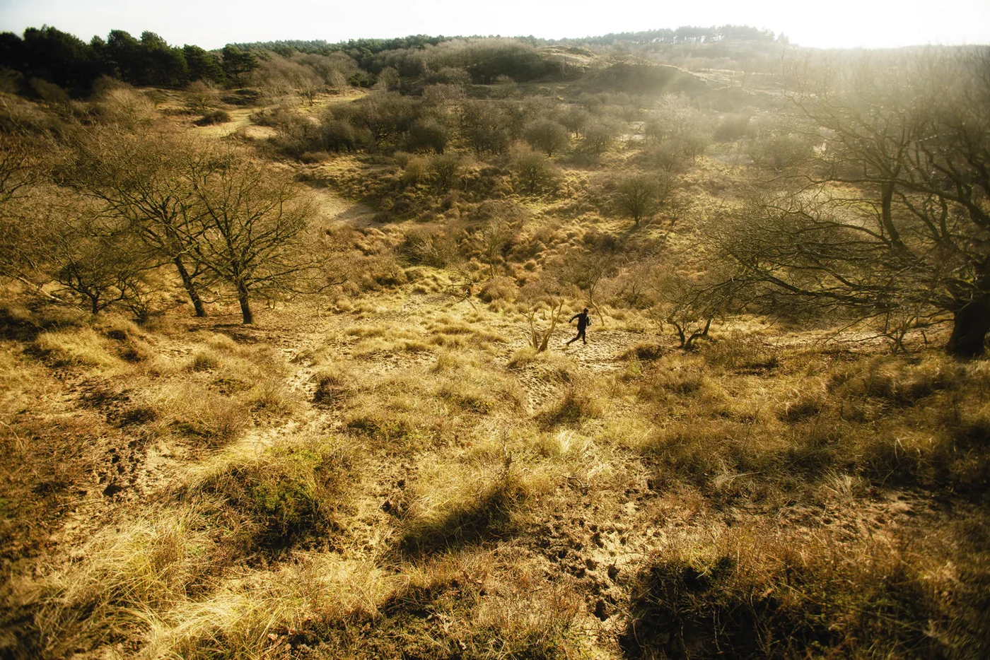 Lopen in de Lage Landen | Fotografie.nl