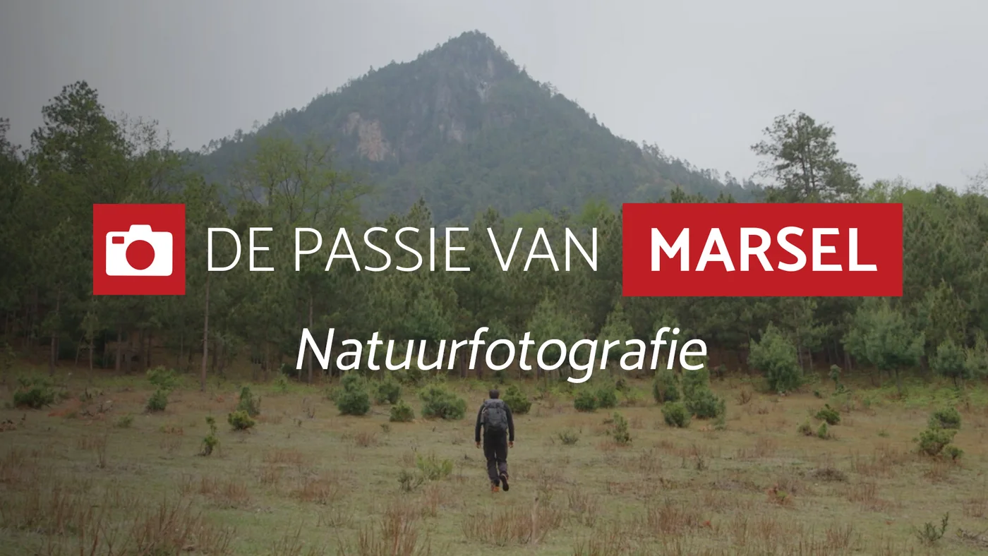 Leer alles over natuurfotografie | Fotografie.nl