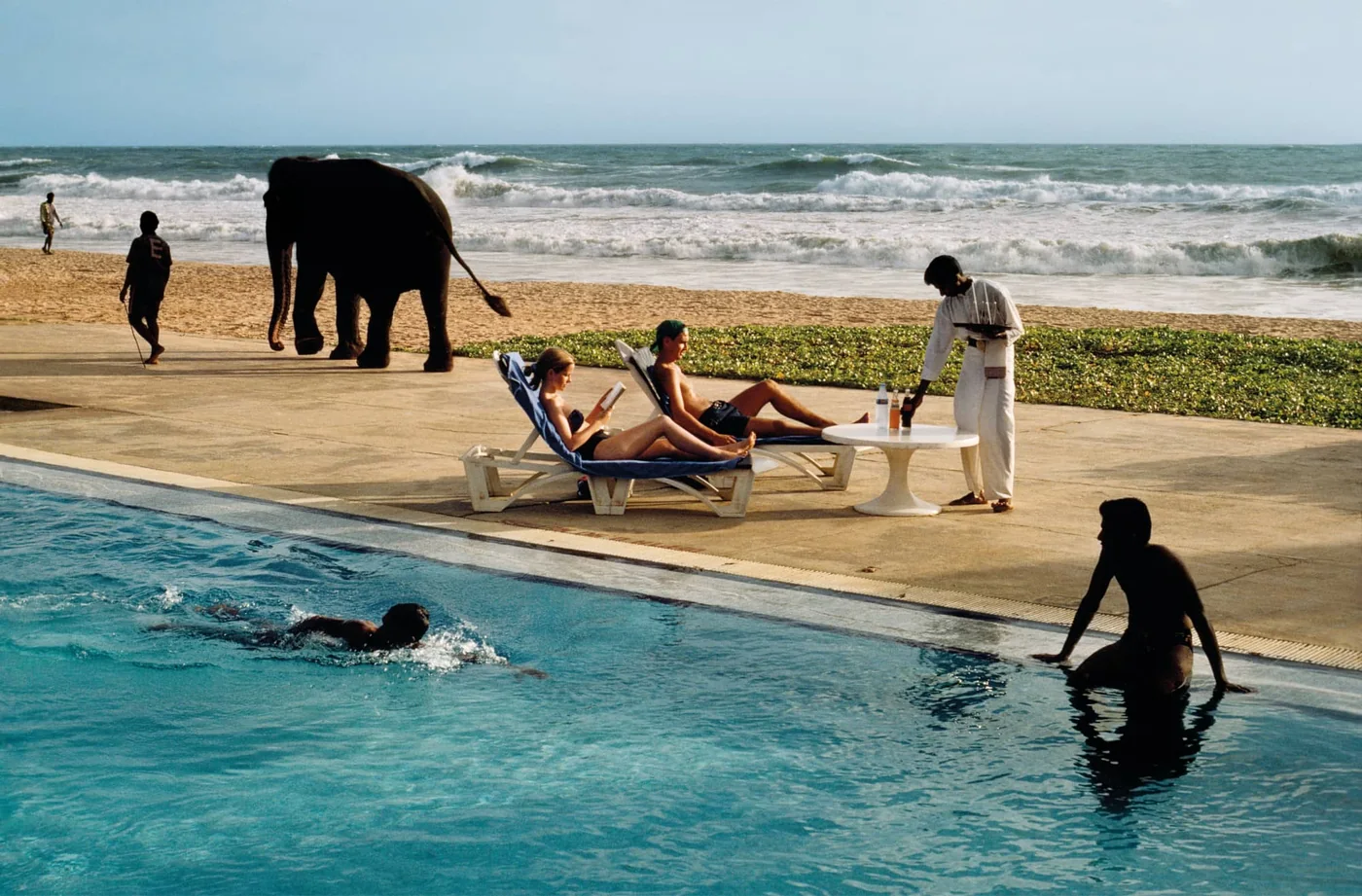 Animals - Steve McCurry | Fotografie.nl