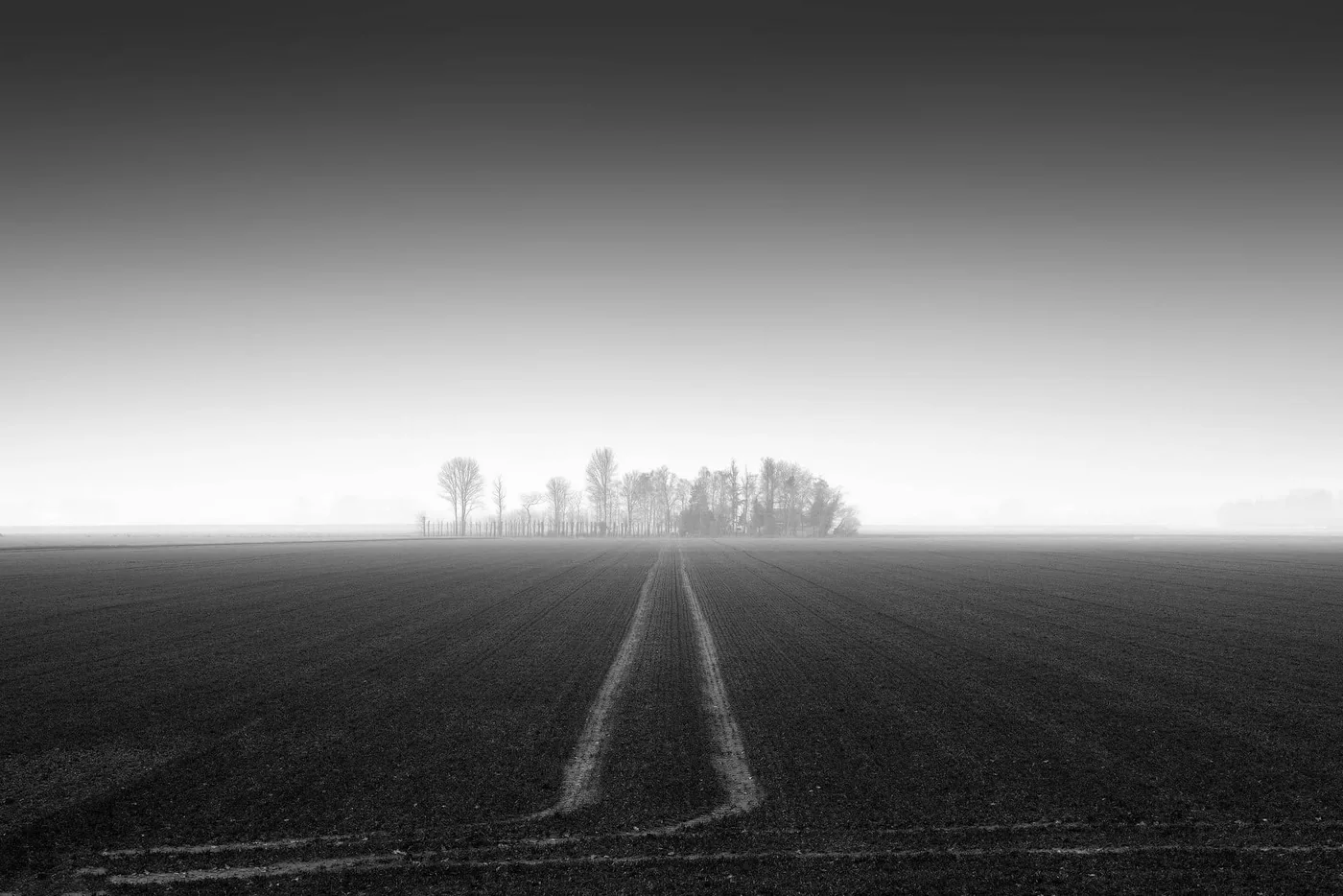 Zeeuws-Vlaamse landschappen internationaal bekroond | Fotografie.nl