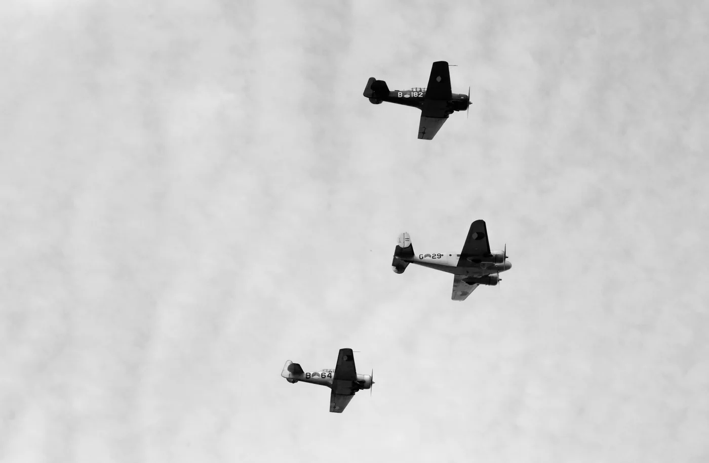 75 Jaar Vrijheid in Beeld - Sacha de Boer | Fotografie.nl