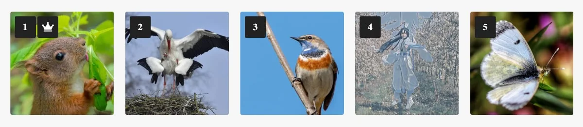 Winnaar Fotowedstrijd LENTE 2021 | Fotografie.nl